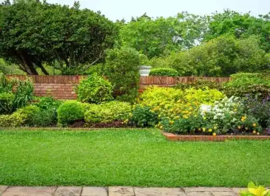 landscaping services La Villita